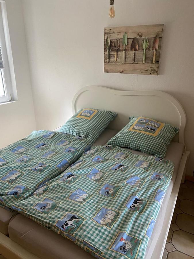 Ferienwohnung Am Gruenen Band, Gretchen Wittingen Экстерьер фото
